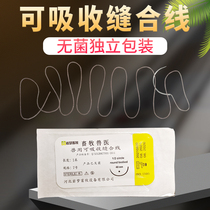 Absorbent Suture surgical Pig Bull with surgical line Pet medical Animal stitching needle Line beast with surgical meat line