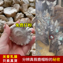 Deer deer antler hat powder 200g sika deer antler hat deer tray powder breast milk pure milk