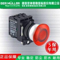 Illuminated mushroom head button switch Waterproof self-locking reset switch Control switch button electric switch Admiralty Muller