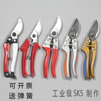 Garden floral scissors horticultural pruning tree branches rough branches Fruit tree pruning flower scissors pruning scissors pruning shears labor-saving scissors