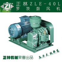 Zhenglin ZLE-40L type two-leaf roots blower aerator