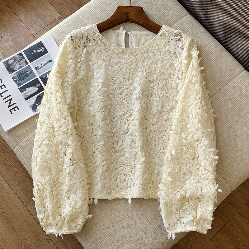 High-End Light Luxury Design with Heavy Sequins, Three-Dimensional Lace, Hollow Round Neck 2026 Women's Shirt, New Spring Top