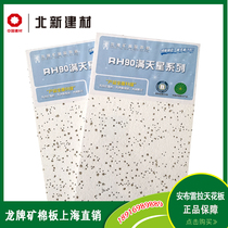 Dragon brand mineral wool board 600x600 babys breath sound-absorbing fire-proof decorative ceiling office factory mineral wool sound-absorbing board