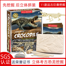 Childrens dinosaur fossil archaeological excavation toy cow dragon fish Dragon Sword ruler Tiger crocodile skeleton model assembly ornaments