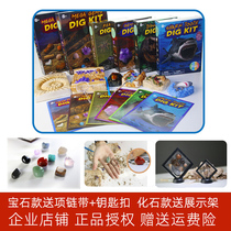 American childrens dinosaur archaeological excavation toy Natural gem Shark teeth Fossil specimen Paleontology set