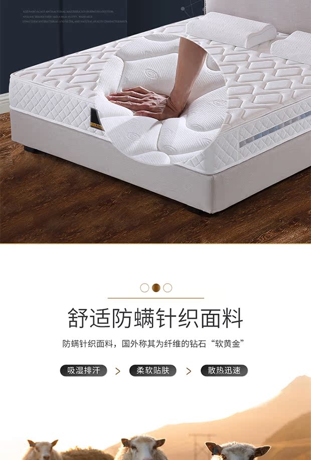 Hippocampus nệm cao su nhập khẩu 1,8m1,5 mét độc lập đôi cọ dừa mềm và cứng Simmons sử dụng kép - Nệm nệm mút