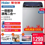 Máy giặt Haier sóng tự động 8kg kg chuyển đổi tiết kiệm năng lượng hộ gia đình Haier / Haier EB80BM39TH - May giặt