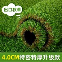 4 см Турмт Толстый экспорт Осенний Стиль травы [супер нано/верхняя изоляция]
