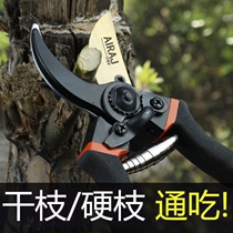 Fruit tree pruning shears knife thick branches labor-saving flower art scissors garden gardening flower scissors multifunctional flower scissors household artifact