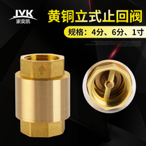 All copper thickened inner and outer wire check valve Water pipe water meter check valve spring check valve Vertical 4 points 6 points 1 inch
