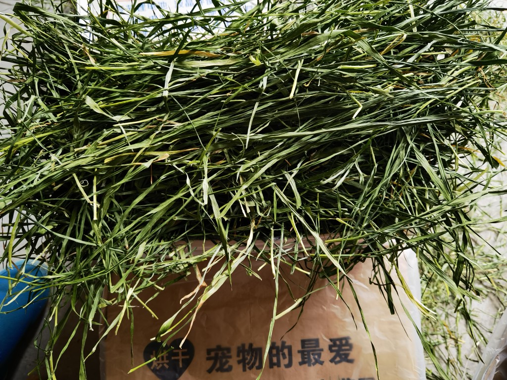 Rabbit grass shop freshly dried wheat grass tender seedlings rabbit chinchilla guinea pig guinea pig grass gross weight 2 catties wheat