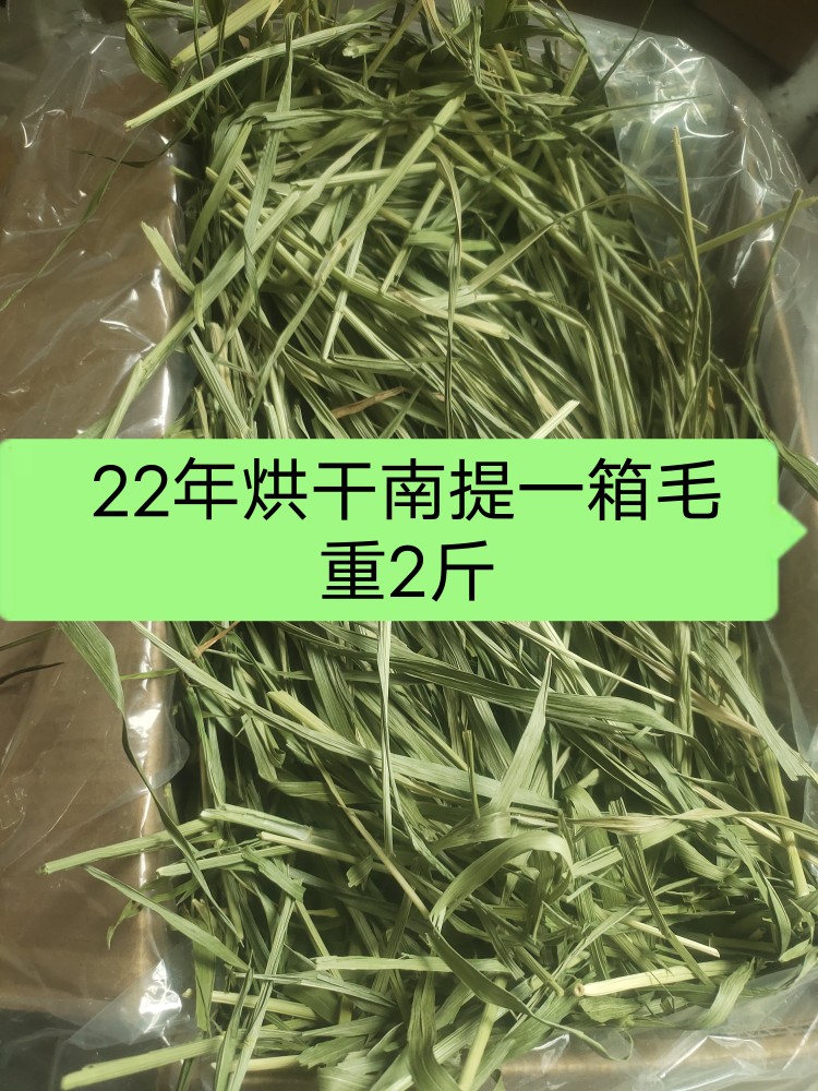 Rabbit grass shop 2022 brand new drying Nanti hair 2 catties Timothy grass rabbit chinchilla guinea pig - Taobao