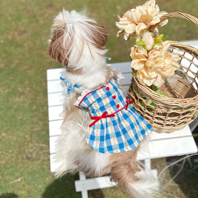 Ddpet Pet Clothes Princess Loungewear French Bulldog Teddy Bichon Schnauzer Monet Garden Suspender Dress