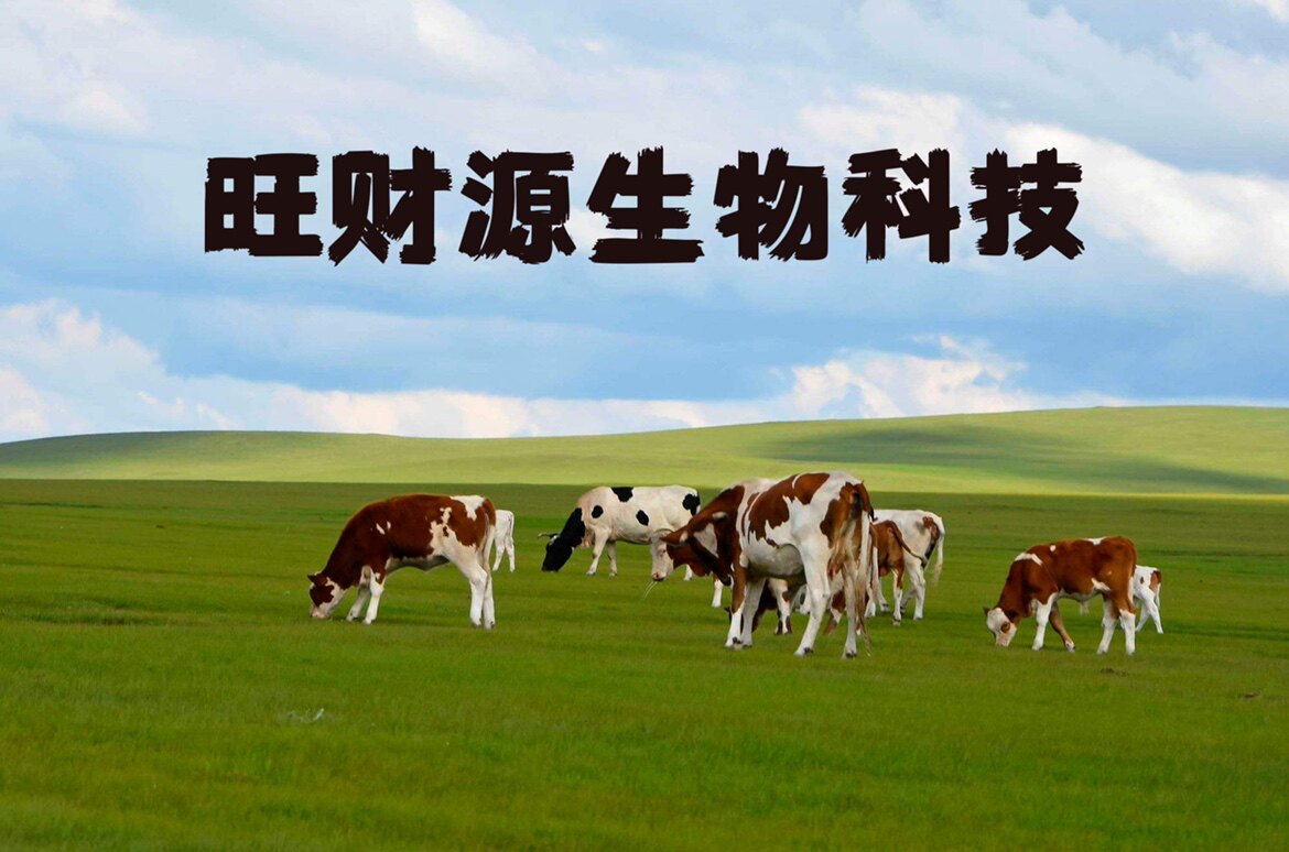 旺财源饲料添加剂
