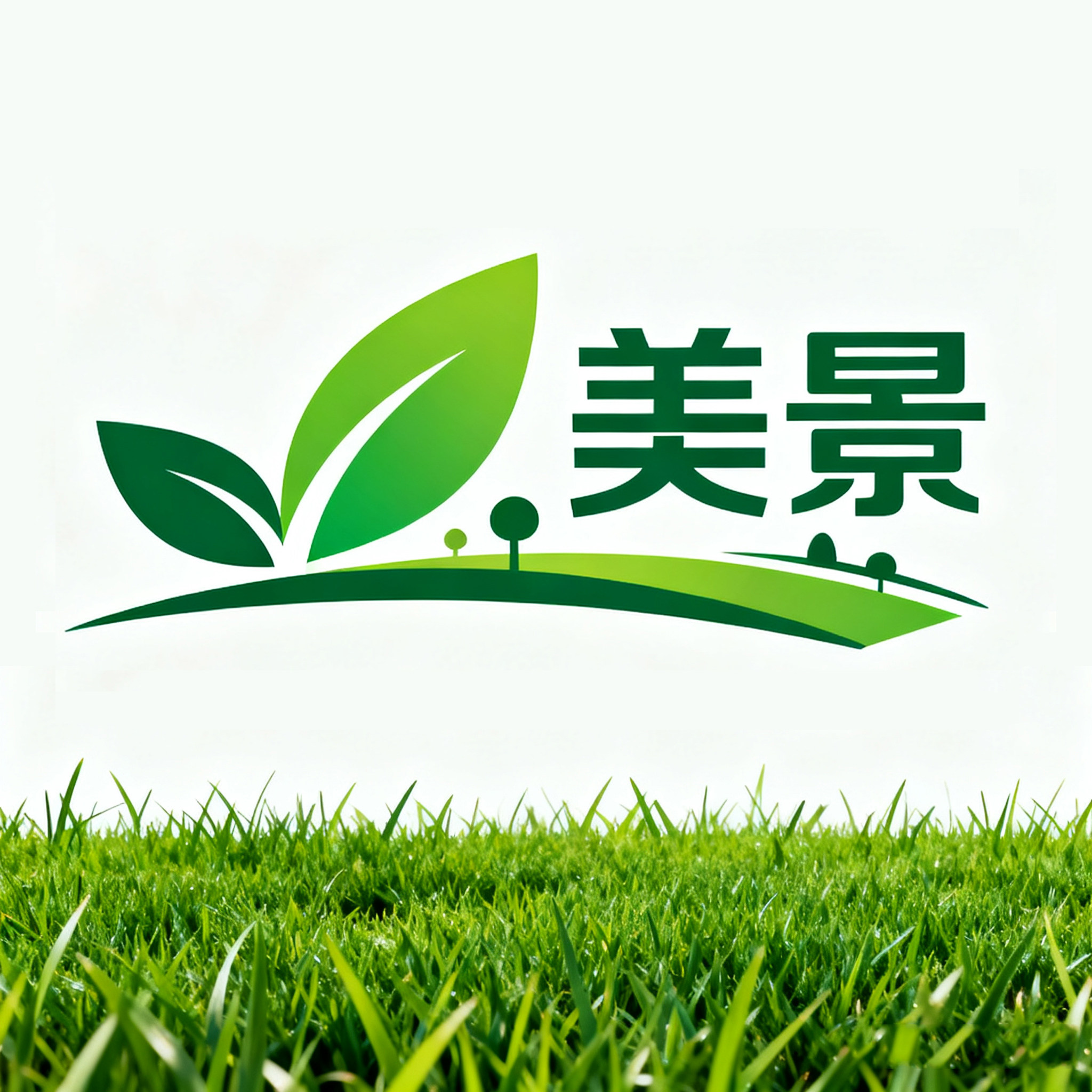 河北美景草坪工厂店