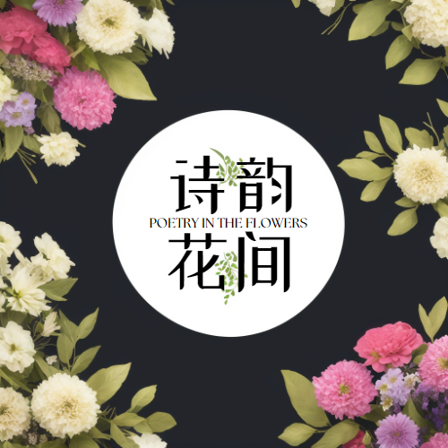 诗韵花间 品质女装