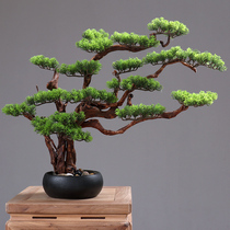 New Chinese bonsai plant withered landscape living room entrance hotel indoor simulation welcome pine ornaments Zen decorations