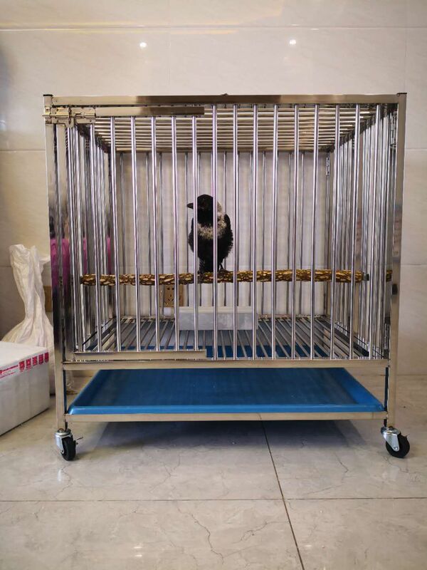White-Necked Crow Cage, Red-Billed Starling, Corvus Cage! Note: It Is a Cage! No Perch, No Food Box!