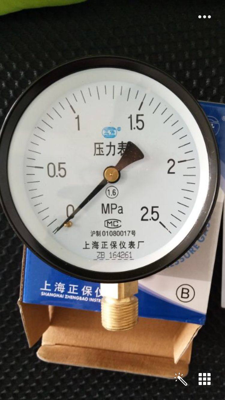 上海正保仪表储气罐压力表径向0-2.5MPa  Y100