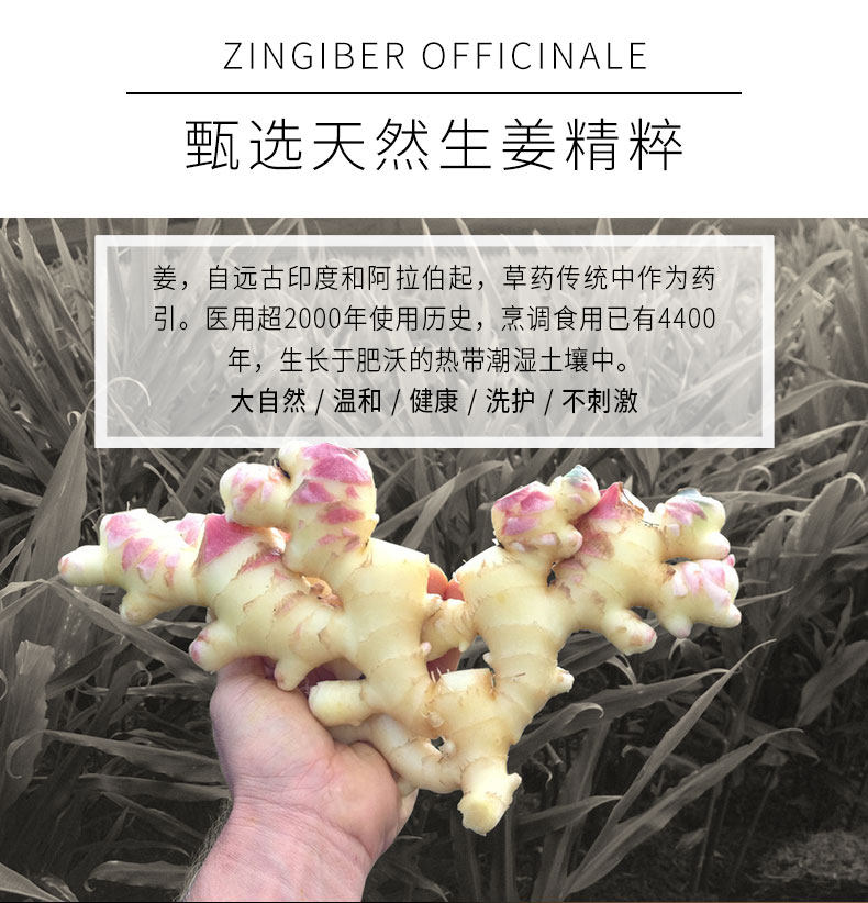 欣雅妆 生姜控油固发洗发水 400ml 图5