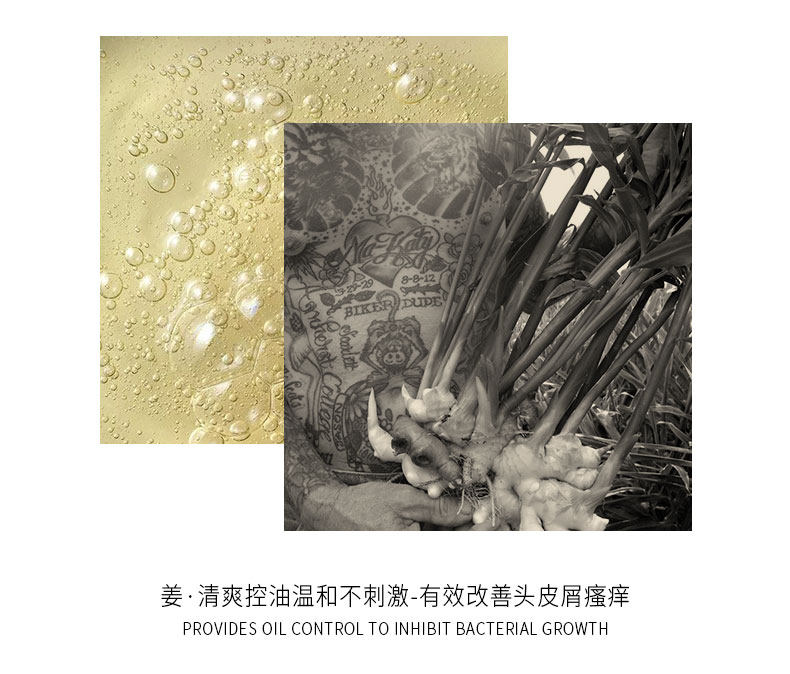 欣雅妆 生姜控油固发洗发水 400ml 图13