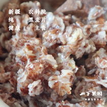 Yamashia Orchard Xinjiang Academy of Agricultural Sciences developed micro-blog recommended no addition of black wheat slices not only sold