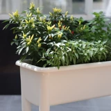 Прямоугольный пластик Новый высокопоставленное растительное бассейн Специальное посадочное артефакт.