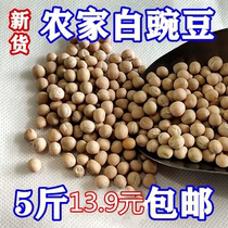 White pea dried pea seeds raw pea yellow pea farmers self-produced can sprout soy milk can feed pigeon feed