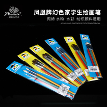 Phoenix childrens beginner water color pen gouache paint brush wolf brush wool sheep brush brush