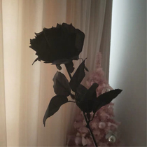 Black rose simulation filigree flower single realistic fake flower Gothic style black rose noble flannel photography shoot