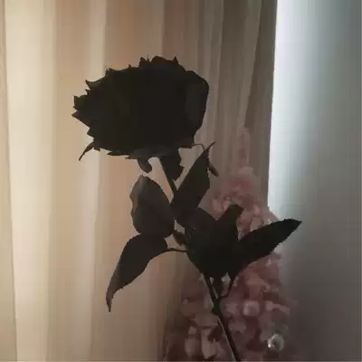 Black rose simulation flower silk flower single lifelike fake flower Gothic wind Black Rose Noble flannel Photography