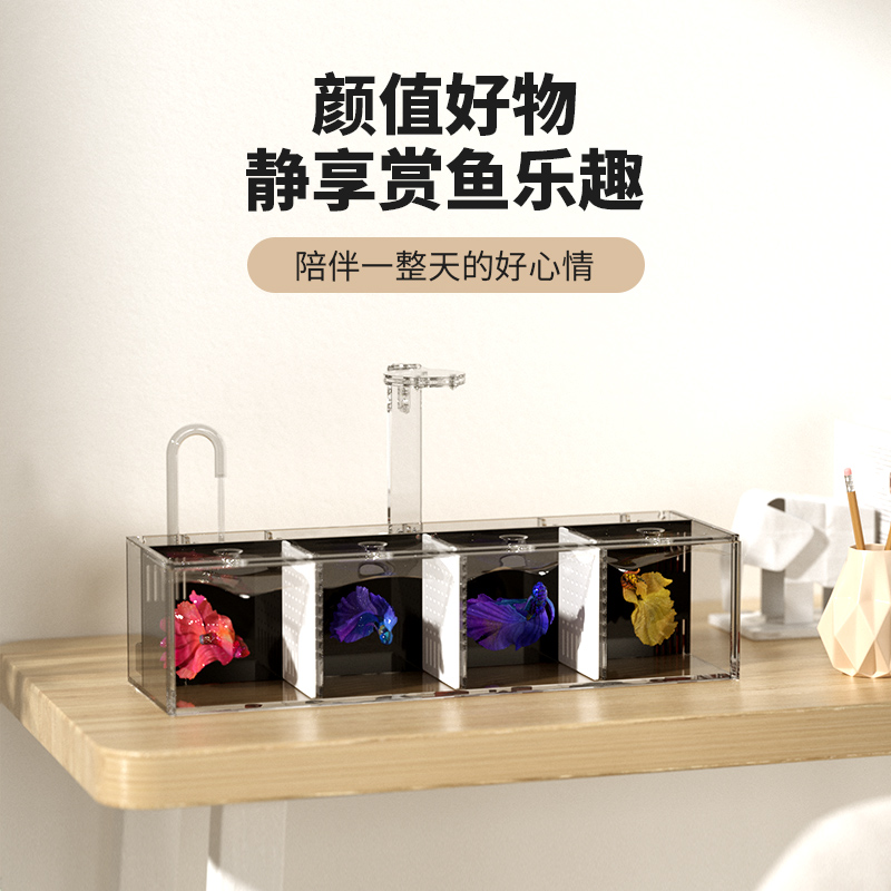 Betta fish tank breeding hatching isolation box water-free desktop small acrylic ecological creative Thai Betta fish tank