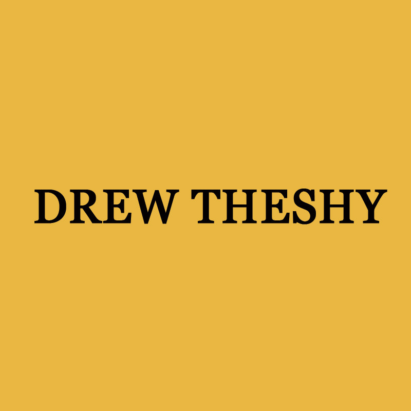 DREW THESHY的LOGO