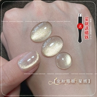 N/01 Starlight [Отправить магнит]
