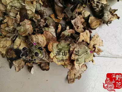 Wild Yunzhi Yunzhi Monochrome Yunzhi 500g pure natural wild natural dry origin direct sales