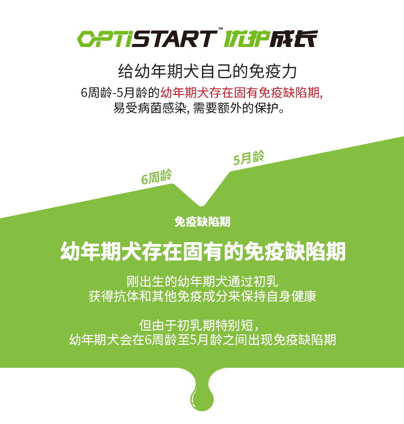 Crown Energy Mell Dog Щенки молока Размещение 2_03.jpg