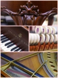 Пианист Steinway Piano Import Stan Weiyi Louis XIII Профессиональный уровень производительности второй фортепиано второй фортепиано