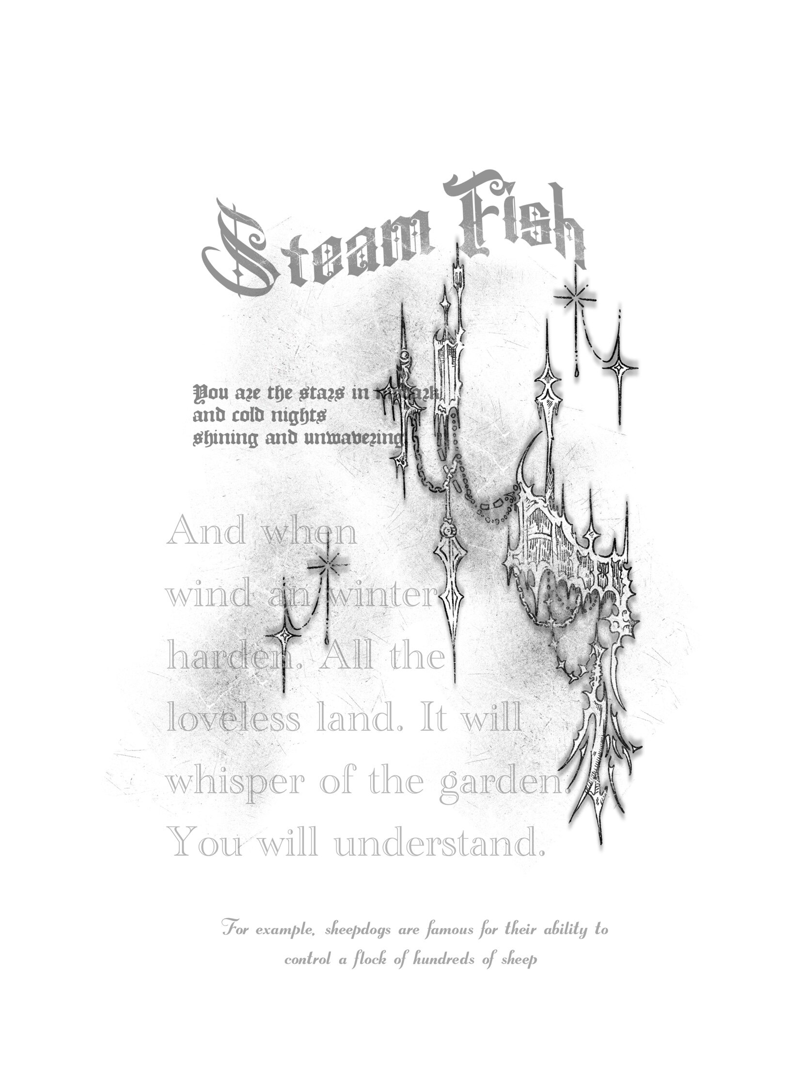Steam Fish蒸汽鱼