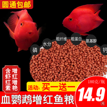 Increase Red Blood Parrot Fish Feed Fish Grain Tropical Fish Color Enhancement Exclusive Fish Rohan Hair Chaise Fish Stock Red Map Float