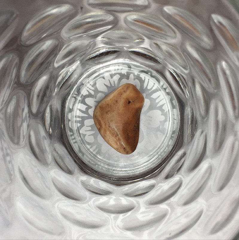 Sakya Buddha's shoulder blade sturdy solid containing shalita for pint rare and difficult to beg for ex-gratia tie