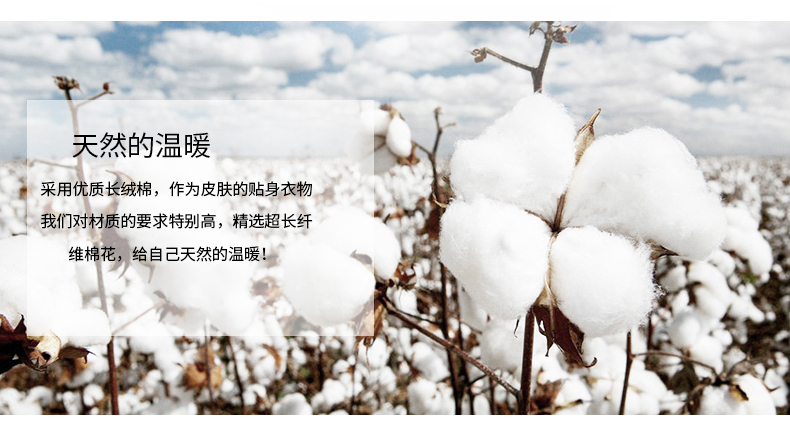 Langsha vớ nữ vớ cotton mô hình mùa hè trong vớ ống bốn mùa dày vớ nữ cao đẳng gió vớ sinh viên vớ thể thao