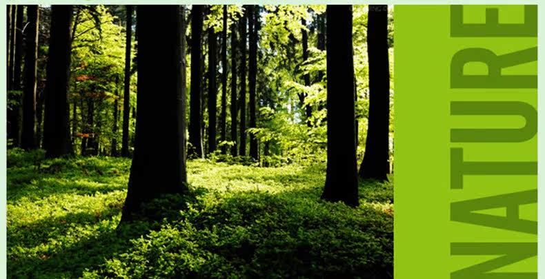 Slip jeunesse ZL026-4 en autre - Ref 665370 Image 9