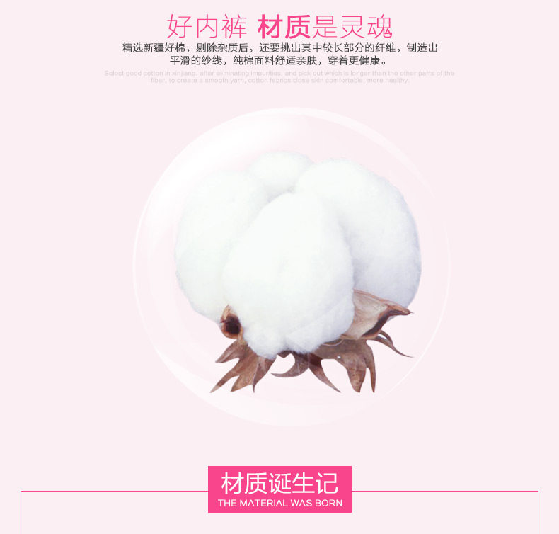 Slip jeunesse QJZL039 en coton - Ref 665401 Image 9