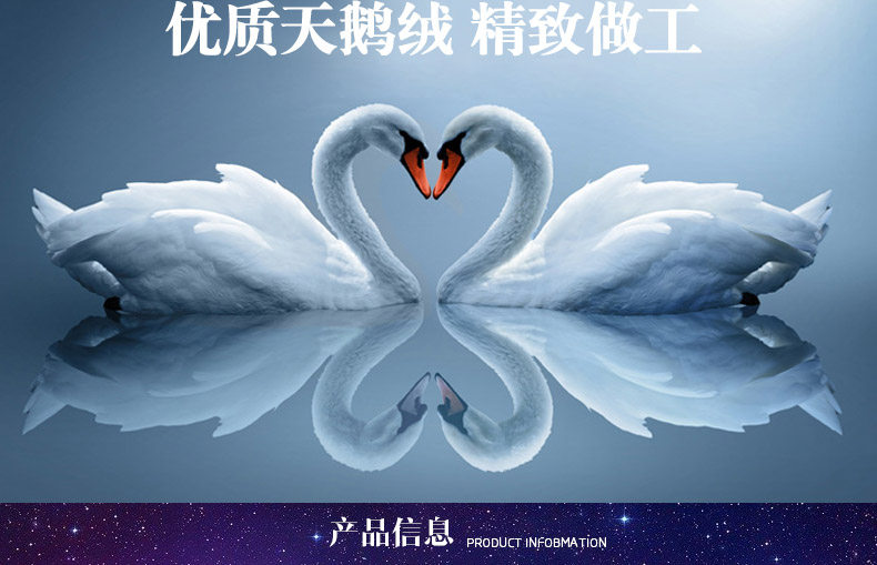 Chaussettes - collants PE6270-4 - Ref 778336 Image 9