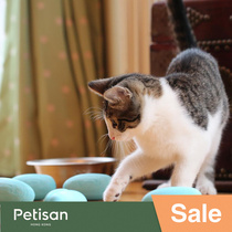 Kitty Leaks Toys NoBowl feeding hunting training system US imports intellectual toys petisan