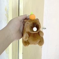 Светло -коричневый пузырь