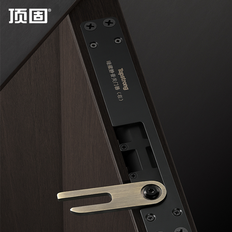 Top-Quality Concealed Silent Door Closer, Spring Hydraulic Damping Buffer for Home Use, Concealed Door Closer