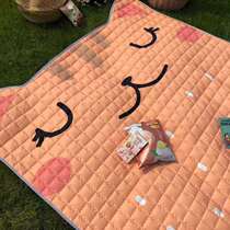 Childrens spring outing picnic mat ins wind thick foldable outdoor outing beach mat moisture-proof and waterproof machine washable