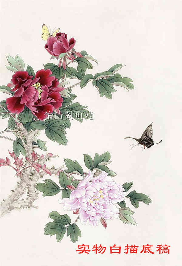 Work Stroke White Sketch Manuscript Peony White Sketch Manuscript Figure Flowers Bird Animal Line Sketch in Physical Prints Draft Paintreading 153