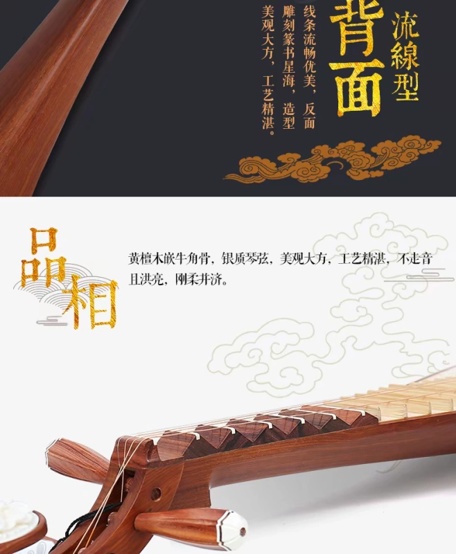 Bắc Kinh Xinghai instrument nhạc cụ Aussie Dalbergia kiểm tra tài liệu chuyên nghiệp chơi gỗ hồng mộc trưởng thành 琵琶 8914 - Nhạc cụ dân tộc sáo inox